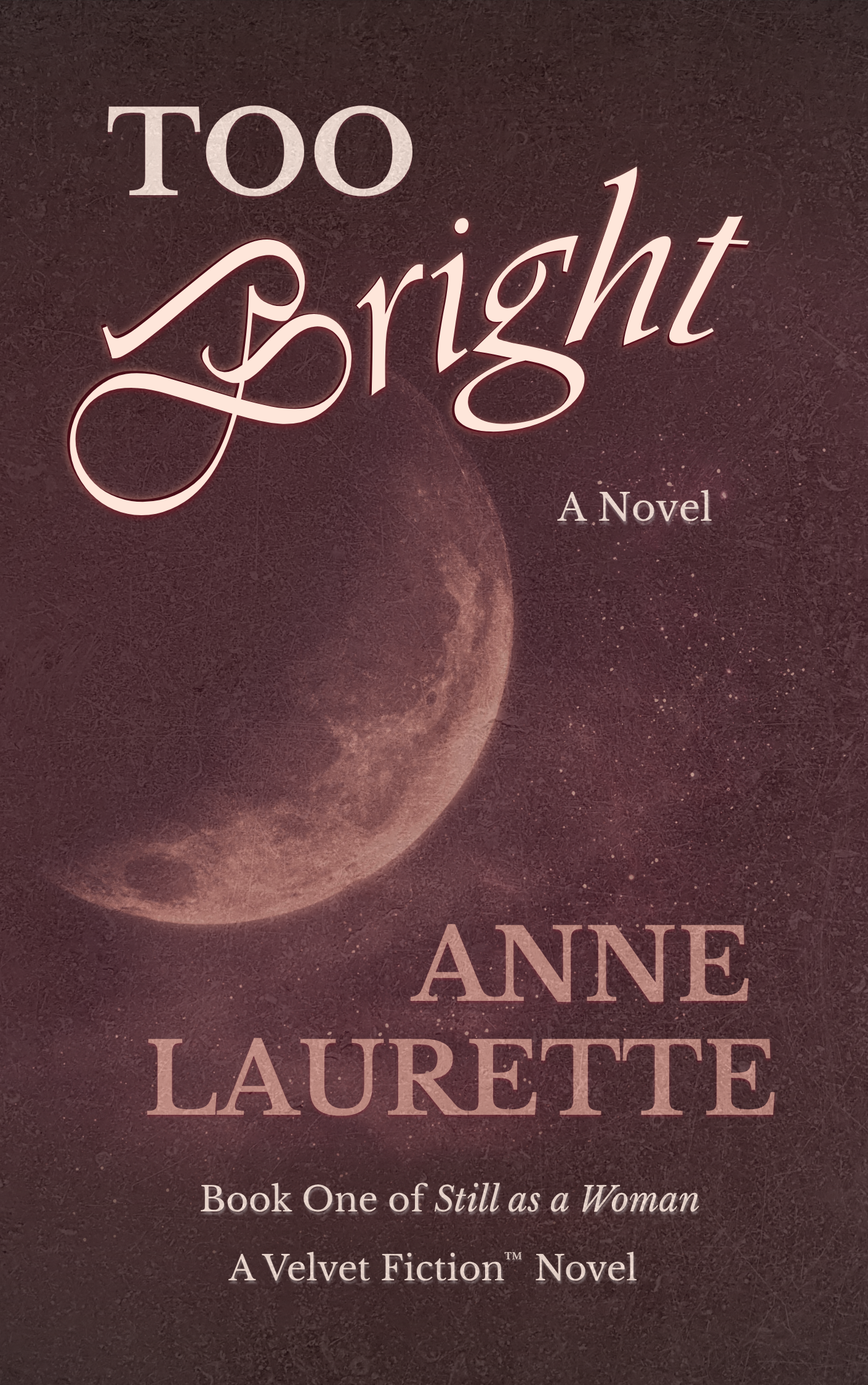 Too Bright: A Novel (Digital Edition)