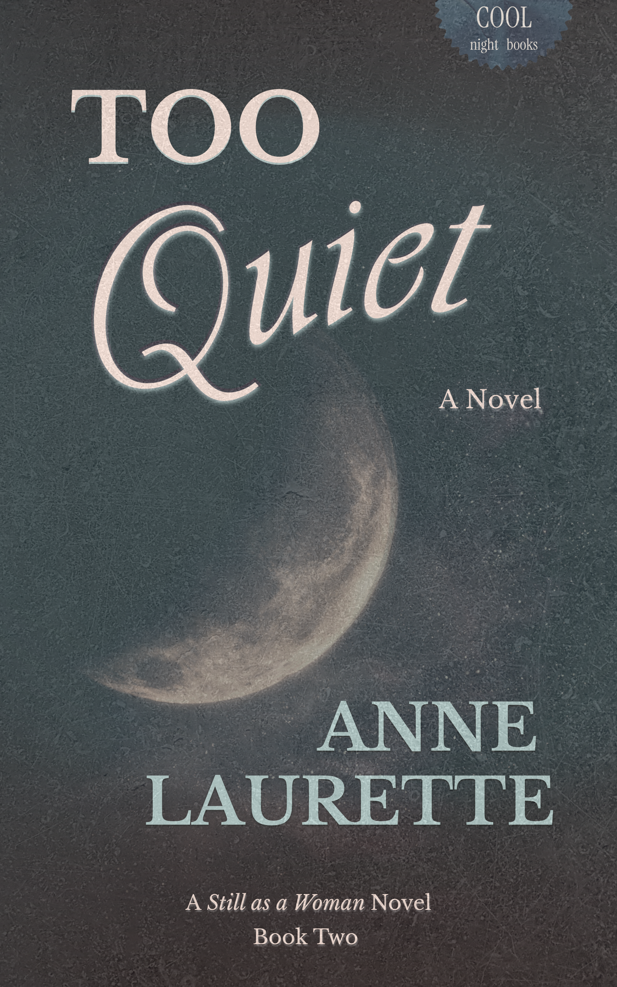 Too Quiet: A Novel