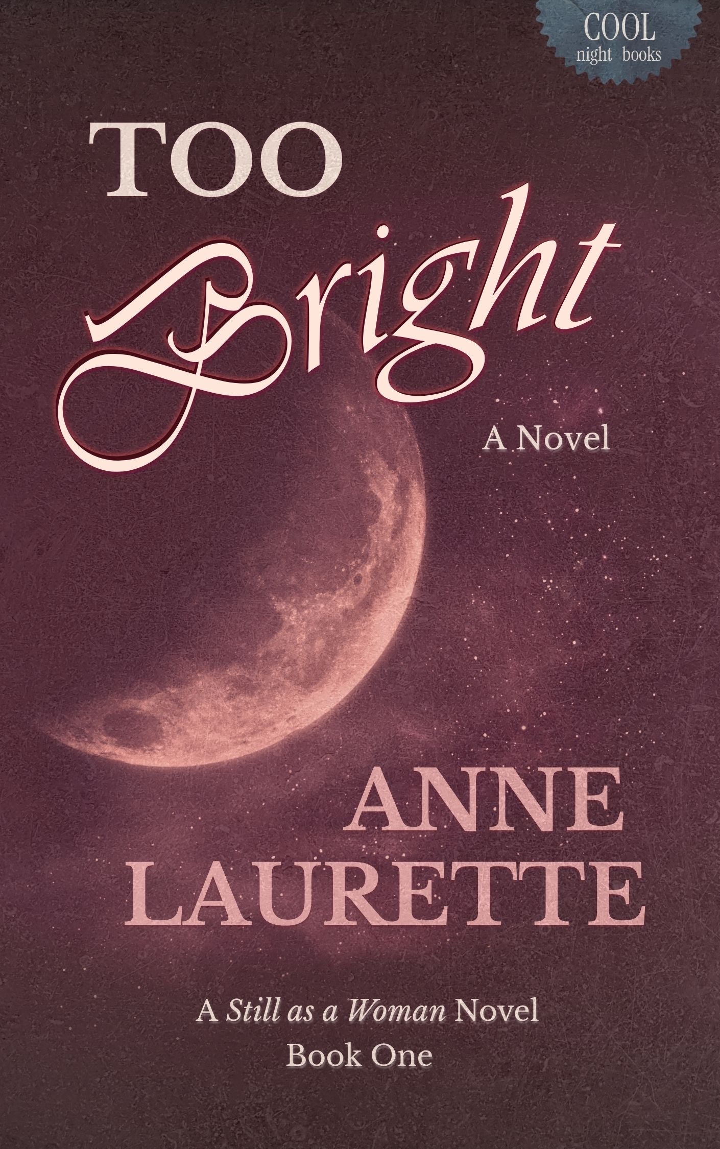 Too Bright: A Novel (Digital Edition)